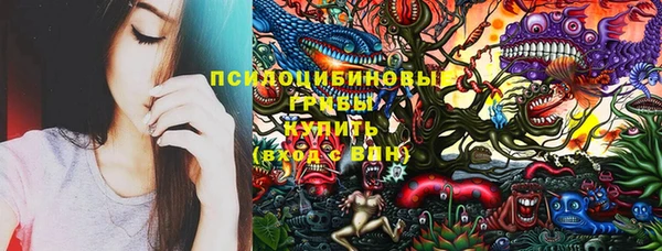 твердый Магас